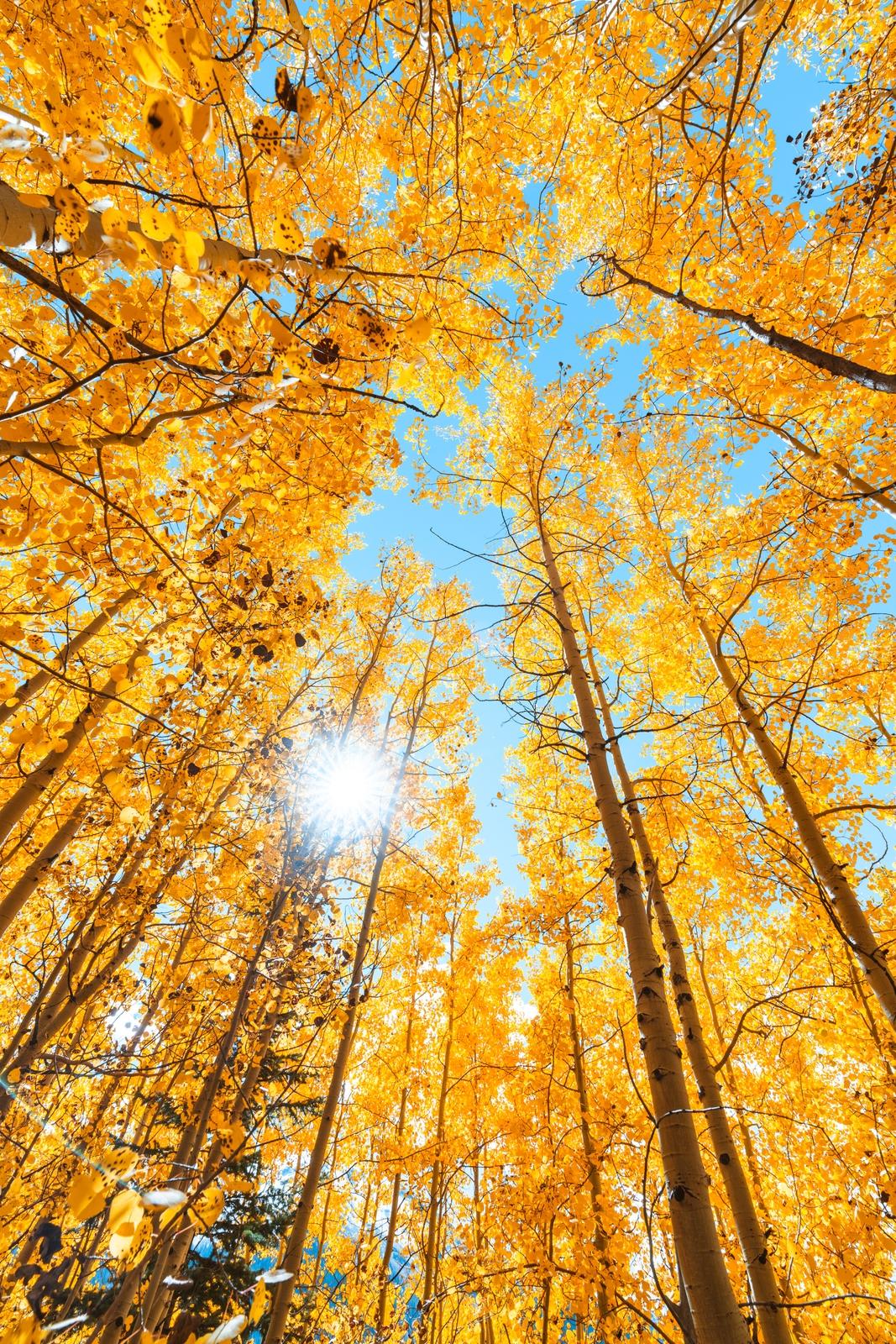 DSK0502520221006IG2750